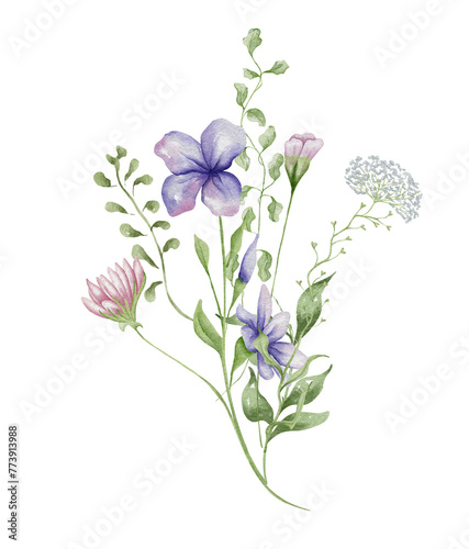 Watercolor wildflowers bouquet. Botanical arrangement of wild flowers and herbs. Summer floral composition