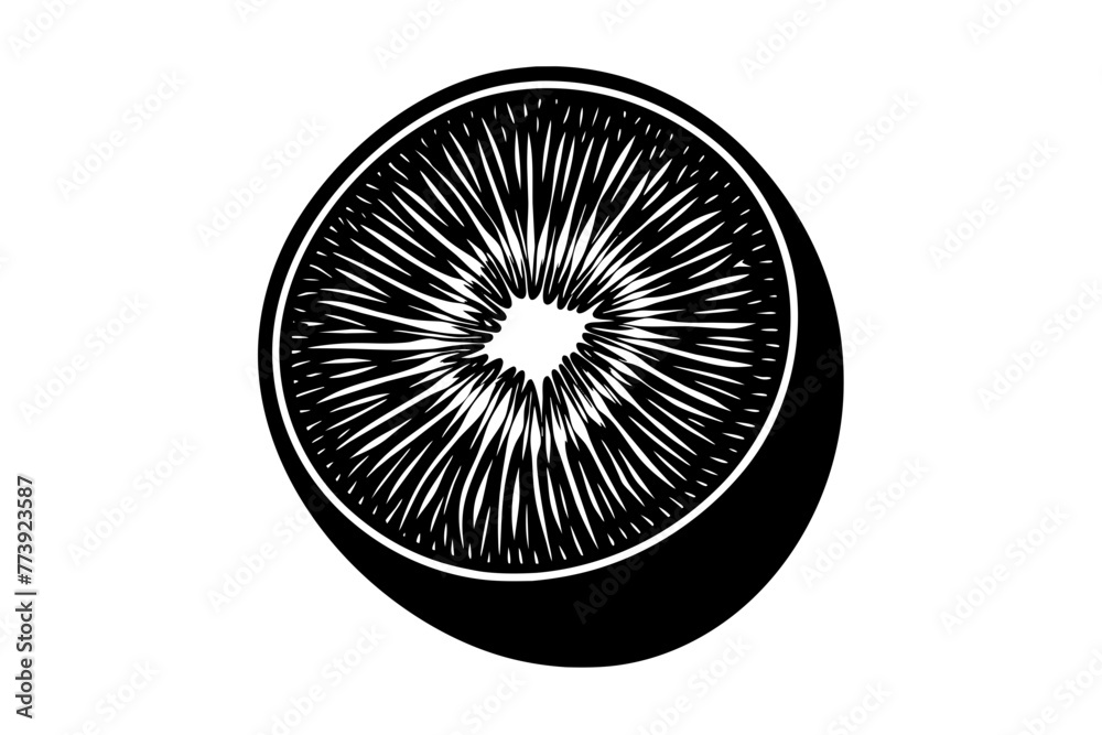 kiwifruit-vector-illustration-whit-background