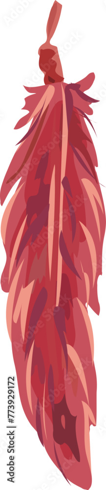 Fototapeta premium Feather illustration on transparent background. 