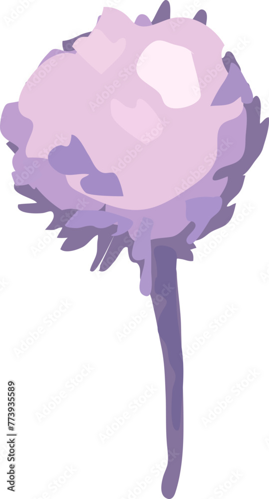 Flower illustration on transparent background.
