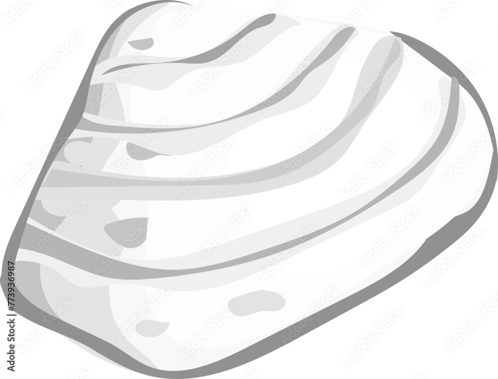 Shell illustration on transparent background.
