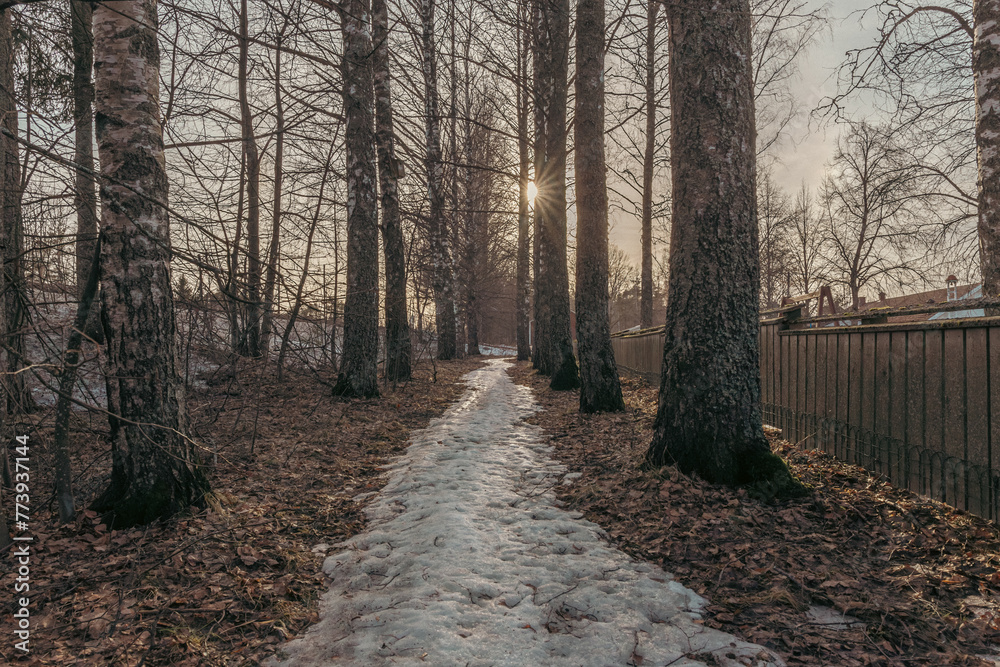 Landscape. Spring forest. A forest path. Most of the snow has already melted Landscape. Spring forest. A forest path. Most of the snow has already melted