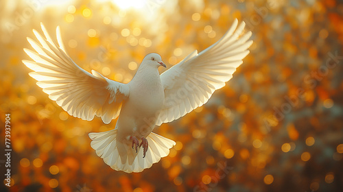White dove in flight. © Janis Smits