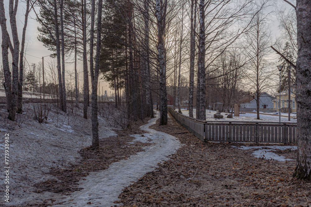 Landscape. Spring forest. A forest path. Most of the snow has already melted
