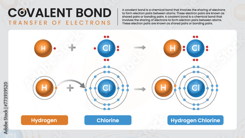 Covalent Chemical Bonding Comprehensive Infographics Guide to Formulas and Structures - Vector Infographics.