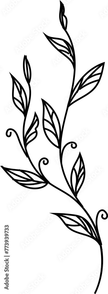 Leaf magical doodle style illustration on transparent background.
