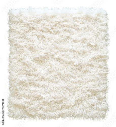 White Fluffy Carpet. Top Plan View. Interior Design Mockup. Ai Generative © susse_n
