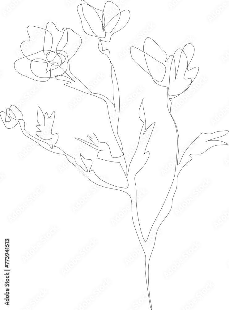 One line drawing flower illustration on transparent background.
