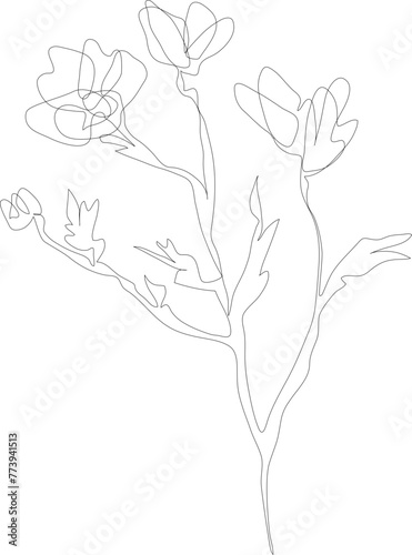 One line drawing flower illustration on transparent background. 