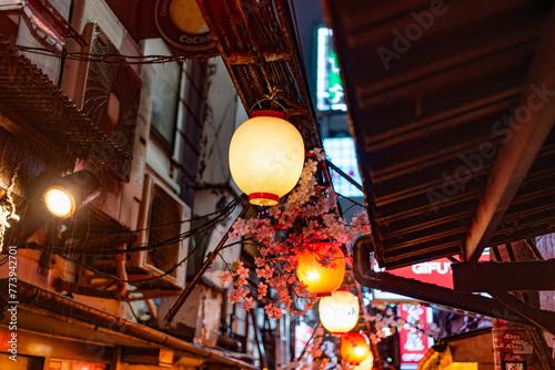 Canvas Print Izakaya alley Tokyo