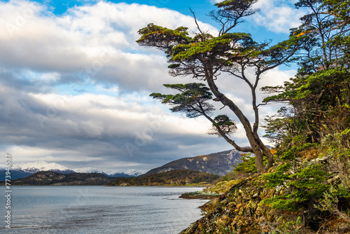 Bahia Ensenada Zaratiegui, Tierra del Fuego National Park, Patagonia, Argentina