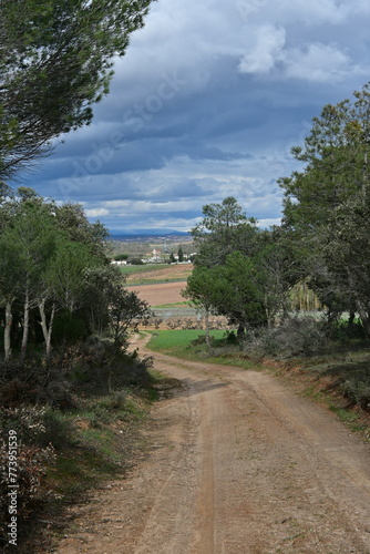 Castilian landscape with road
