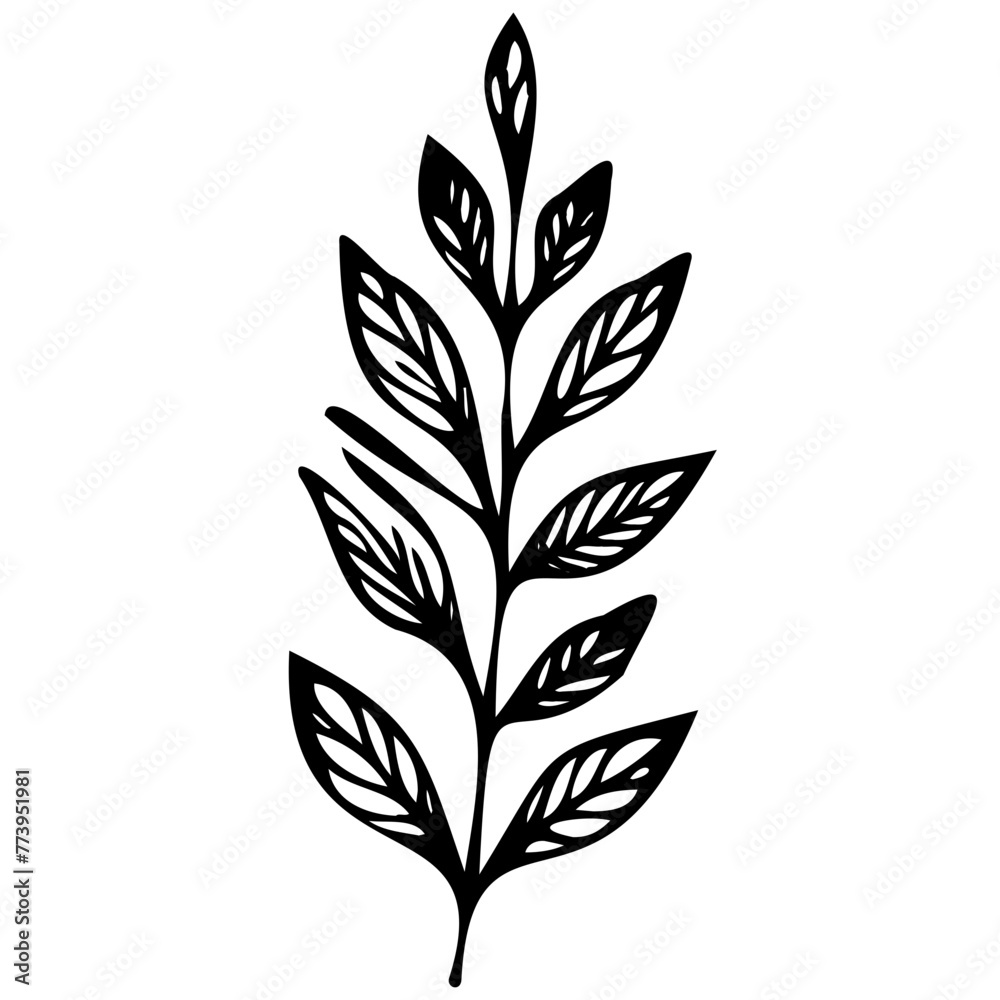Hand drawn leaves line linear black Strock Symbol visual illustration Plant nature hand drawn set. Collection botanical element Elegante vintage style Hand drawn leaves line linear black Strock Symbol visual illustration Plant nature hand drawn set. Collection botanical element Elegante vintage style