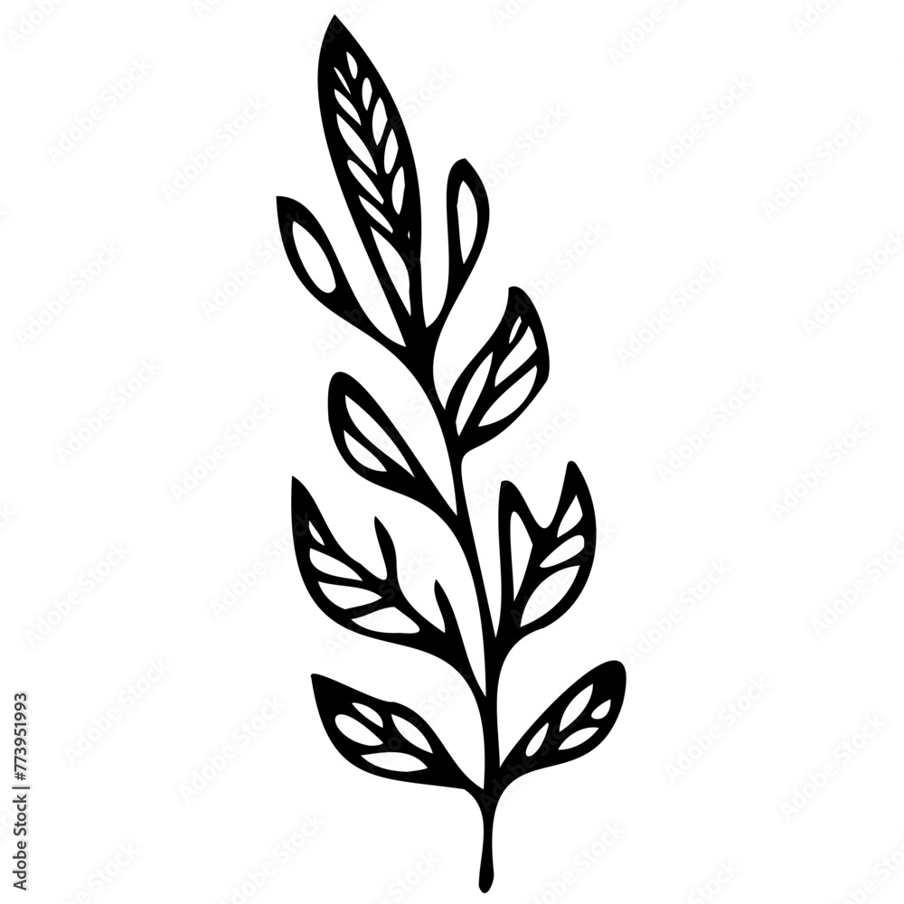 Hand drawn leaves line linear black Strock Symbol visual illustration Plant nature hand drawn set. Collection botanical element Elegante vintage style