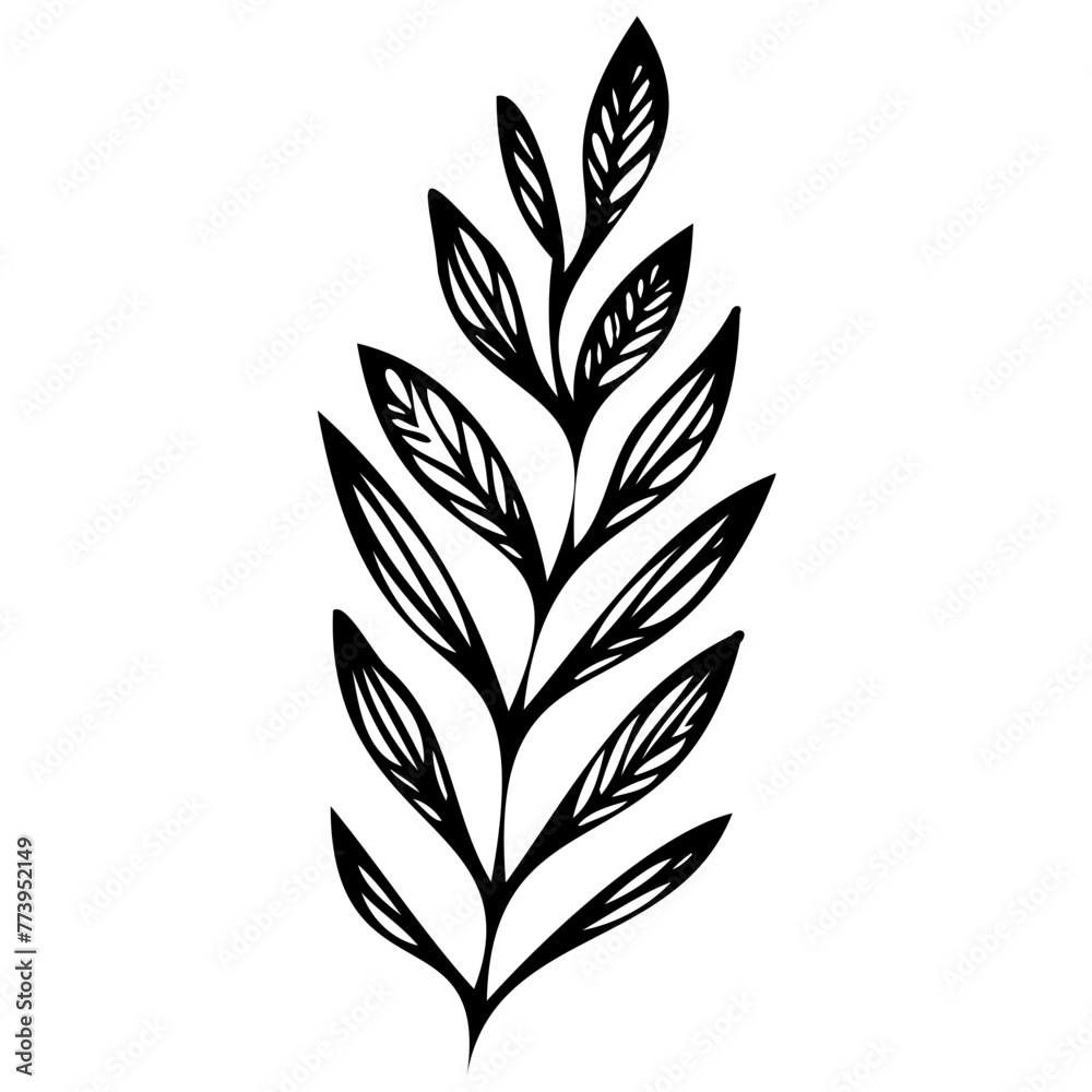 Hand drawn winter leaves and branches. Floral twig, botanical branch with berry and leaf doodle. Plant leaf feather and fir tree branches element. Isolated vector icons Hand drawn winter leaves and branches. Floral twig, botanical branch with berry and leaf doodle. Plant leaf feather and fir tree branches element. Isolated vector icons