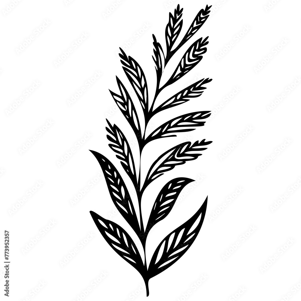 Hand drawn winter leaves and branches. Floral twig, botanical branch with berry and leaf doodle. Plant leaf feather and fir tree branches element. Isolated vector icons