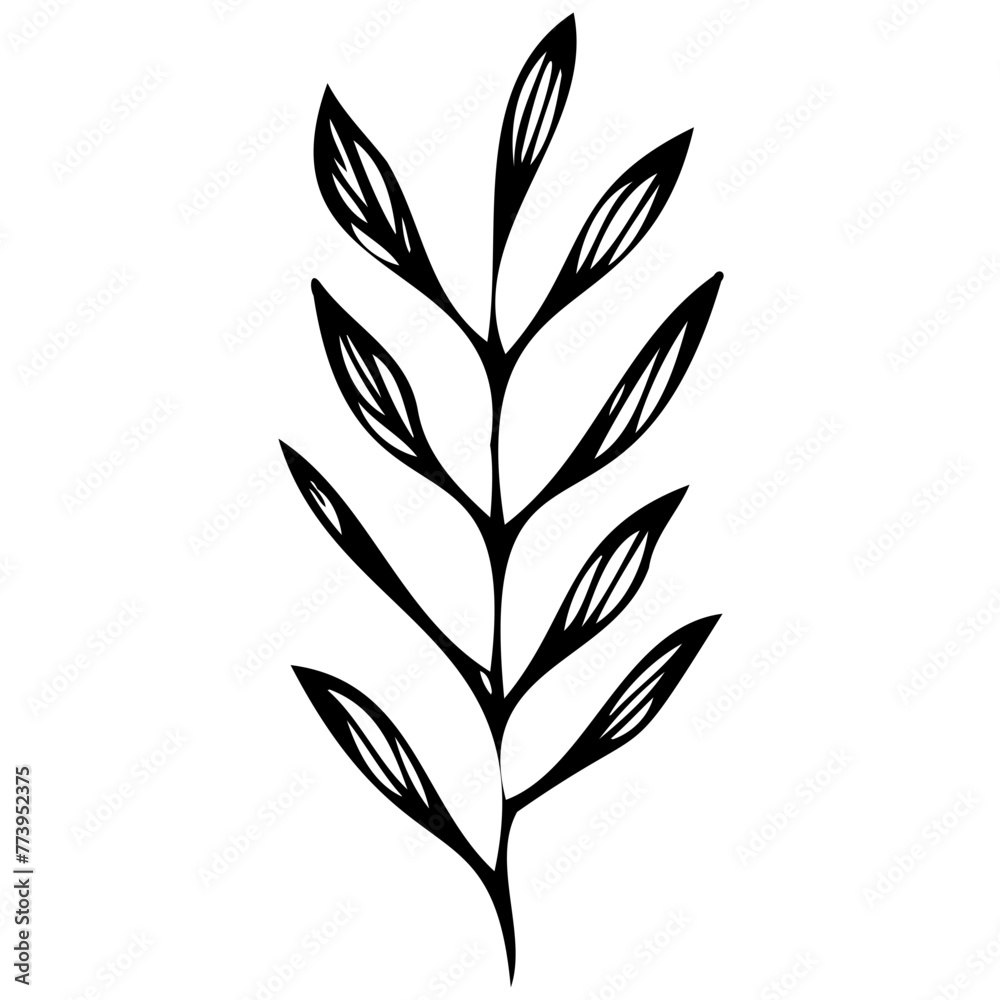 Hand drawn winter leaves and branches. Floral twig, botanical branch with berry and leaf doodle. Plant leaf feather and fir tree branches element. Isolated vector icons Hand drawn winter leaves and branches. Floral twig, botanical branch with berry and leaf doodle. Plant leaf feather and fir tree branches element. Isolated vector icons
