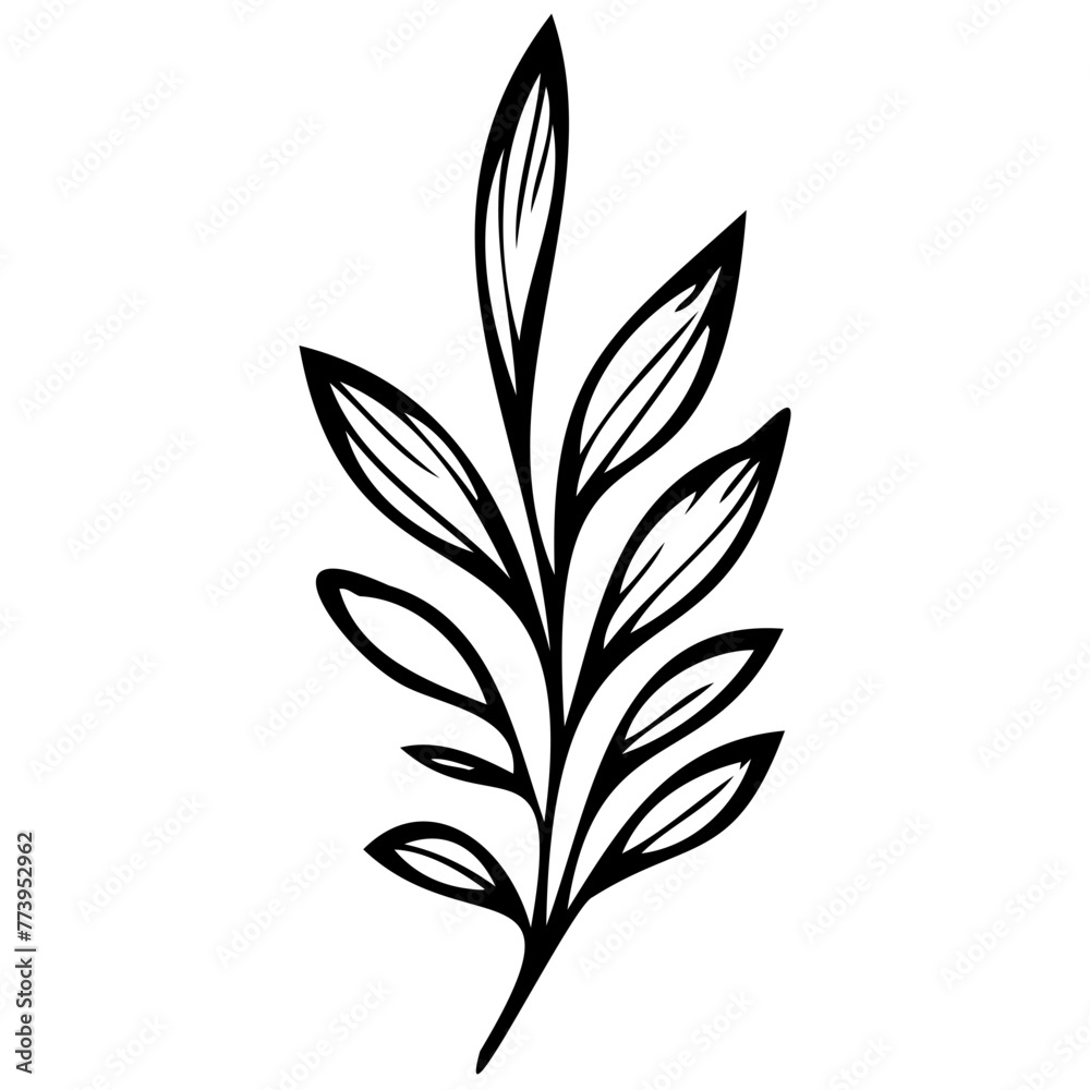 Hand drawn winter leaves and branches. Floral twig, botanical branch with berry and leaf doodle. Plant leaf feather and fir tree branches element. Isolated vector icons Hand drawn winter leaves and branches. Floral twig, botanical branch with berry and leaf doodle. Plant leaf feather and fir tree branches element. Isolated vector icons