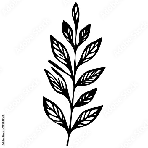 Hand drawn leaves line linear black Strock Symbol visual illustration Leaves doodle Collection of pencil chalk hand drawn templates sketches patterns of different shape tree foliage  © Microstocke