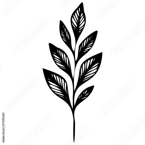 Hand drawn leaves line linear black Strock Symbol visual illustration Leaves doodle Collection of pencil chalk hand drawn templates sketches patterns of different shape tree foliage  © Microstocke
