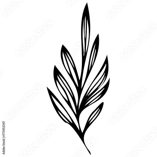 Hand drawn leaves line linear black Strock Symbol visual illustration Leaves doodle Collection of pencil chalk hand drawn templates sketches patterns of different shape tree foliage  © Microstocke