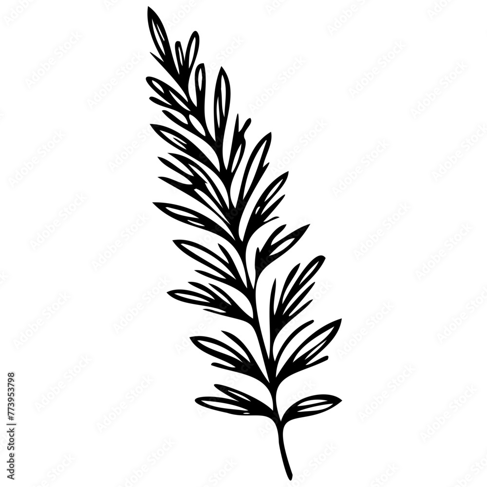 Fototapeta premium Hand drawn leaves line linear black Strock Symbol visual illustration, handmade leaves - herbs and leaf branches with leaves and flowers vector icon