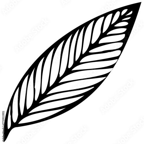 Hand drawn leaves line linear black Strock Symbol visual illustration  handmade leaves - herbs and leaf branches with leaves and flowers vector icon