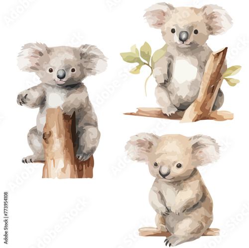 watercolor Painting Set of koala bear, isolated on white background, vector illustration, Drawing clipart, Graphic Painting. photo