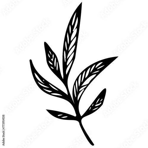 Hand drawn leaves line linear black Strock Symbol visual illustration, handmade leaves - herbs and leaf branches with leaves and flowers vector icon © Microstocke