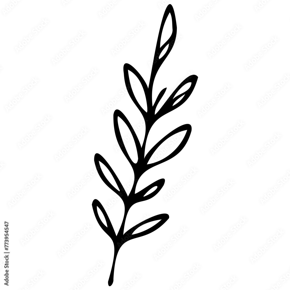 Hand drawn leaves line linear black Strock Symbol visual illustration Plant nature hand drawn set. Collection botanical element. Elegante vintage style