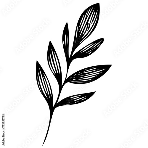 Hand drawn leaves line linear black strock Symbol visual illustration