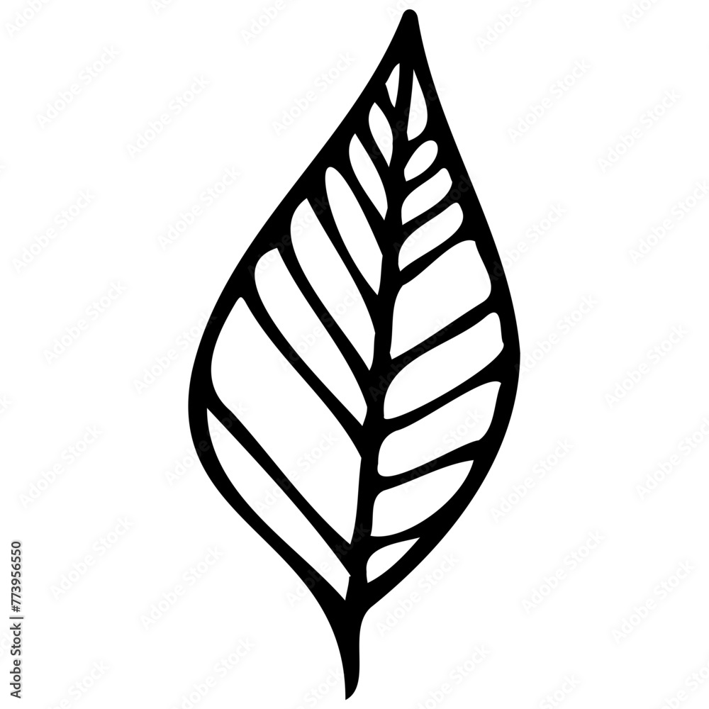 Hand drawn leaves line linear black strock Symbol visual illustration