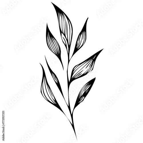 Hand drawn leaves line Symbol visual illustration Tropical Leaves in doodle style. Vector hand drawn black line design elements. Exotic summer botanical illustrations. Monstera leaves  palm leaves