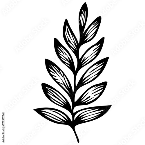 Hand drawn leaves line Symbol visual illustration Tropical Leaves in doodle style. Vector hand drawn black line design elements. Exotic summer botanical illustrations. Monstera leaves, palm leaves © Microstocke