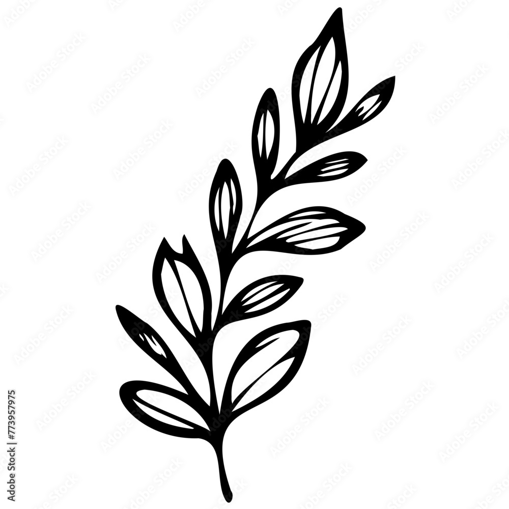 Hand drawn leaves line Symbol visual illustration Tropical Leaves in doodle style. Vector hand drawn black line design elements. Exotic summer botanical illustrations. Monstera leaves, palm leaves