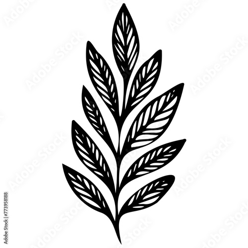 Hand drawn leaves line Symbol visual illustration Tropical Leaves in doodle style. Vector hand drawn black line design elements. Exotic summer botanical illustrations. Monstera leaves, palm leaves © Microstocke