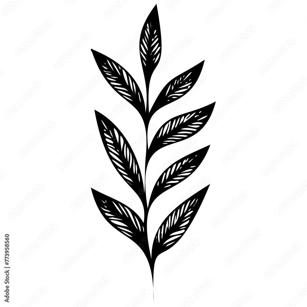 Hand drawn leaves line linear black strock Symbol visual illustration Minimal botanical hand drawing design for logo and wedding invitation. Floral line art. Flower and leaves Element Hand drawn leaves line linear black strock Symbol visual illustration Minimal botanical hand drawing design for logo and wedding invitation. Floral line art. Flower and leaves Element