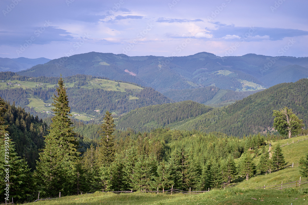 Fototapeta premium Beautiful summer mountains landscape. Green Carpathians view.