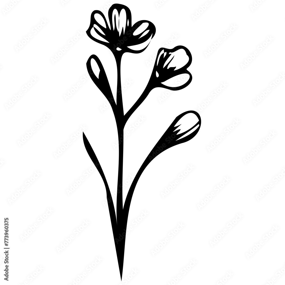Obraz premium Hand drawn leaves line linear black Strock Symbol visual illustration Wild plant leaves hand drawn black on white background. Forest branch silhouette