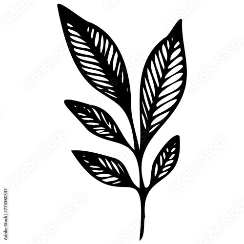 Hand drawn leaves line linear black strock Symbol visual illustration Botanical drawing. Minimal plant logo, meadow greenery, leaf and blooming flower abstract sketch element collection, linear rustic © Microstocke