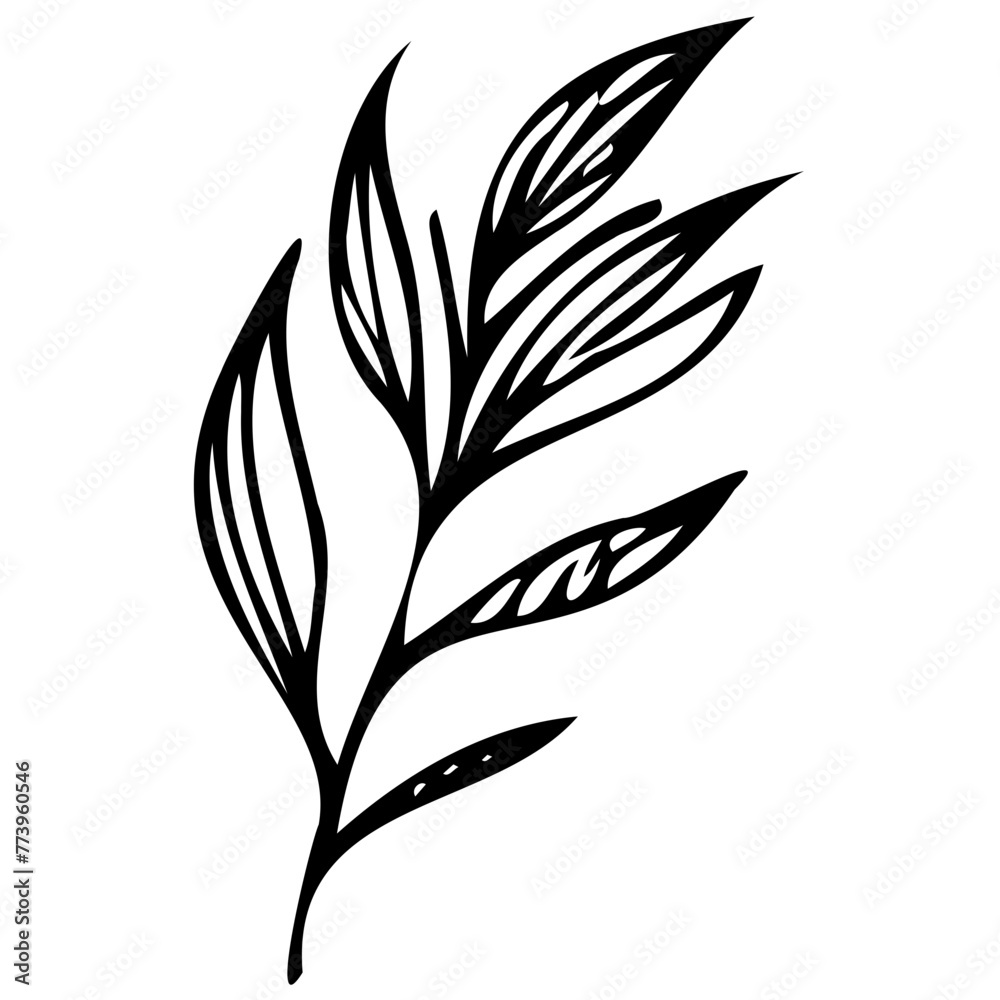 Hand drawn leaves line linear black Strock Symbol visual illustration Wild plant leaves hand drawn black on white background. Forest branch silhouette Hand drawn leaves line linear black Strock Symbol visual illustration Wild plant leaves hand drawn black on white background. Forest branch silhouette