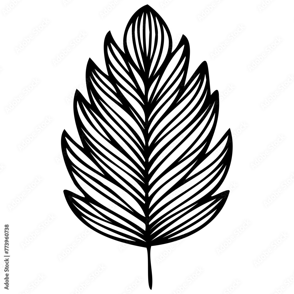 Hand drawn leaves line linear black Strock Symbol visual illustration Wild plant leaves hand drawn black on white background. Forest branch silhouette Hand drawn leaves line linear black Strock Symbol visual illustration Wild plant leaves hand drawn black on white background. Forest branch silhouette