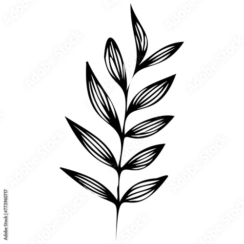 Hand drawn leaves line linear black Strock Symbol visual illustration Wild plant leaves hand drawn black on white background. Forest branch silhouette © Microstocke