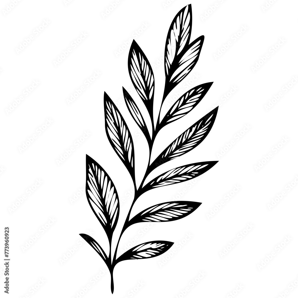 Hand drawn leaves line linear black Strock Symbol visual illustration Wild plant leaves hand drawn black on white background. Forest branch silhouette