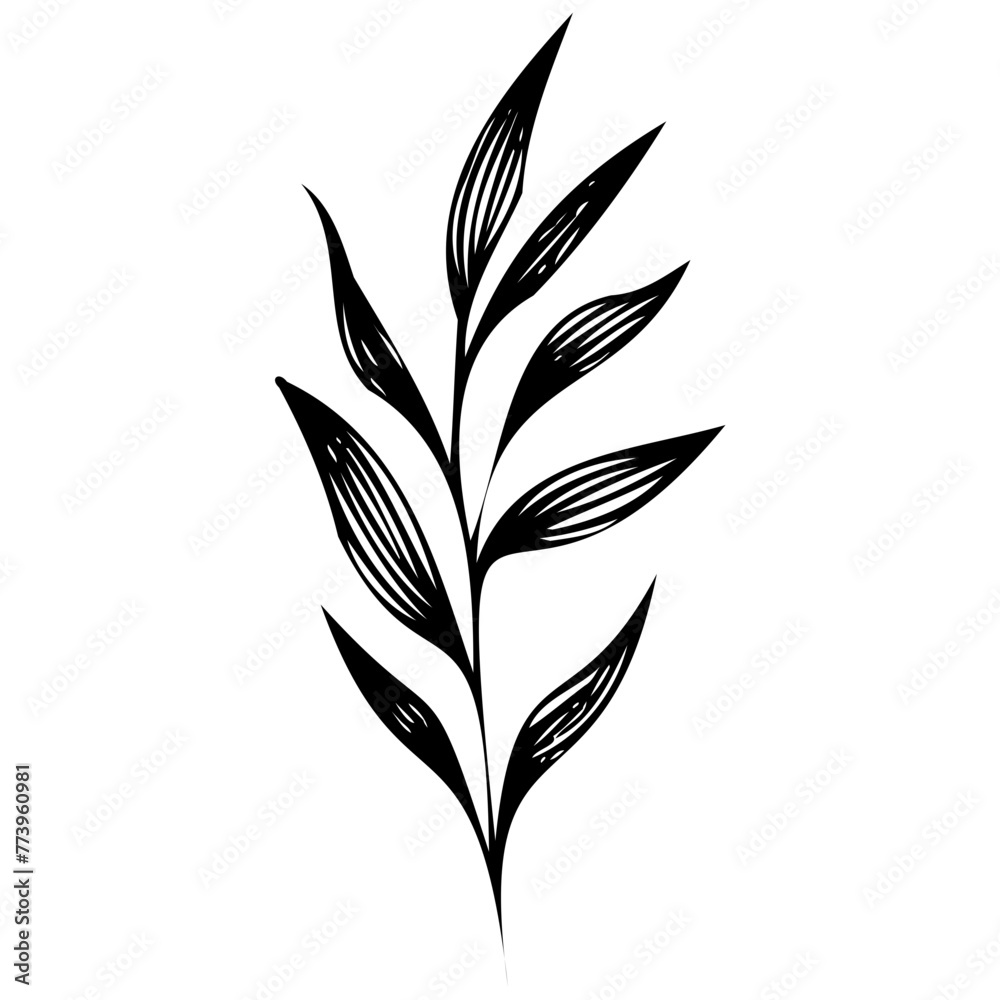 Hand drawn leaves Symbol visual illustration Tropical Leaves in doodle style. Vector hand drawn black line design elements. Exotic summer botanical illustrations. Monstera leaves, palm, banana leaf