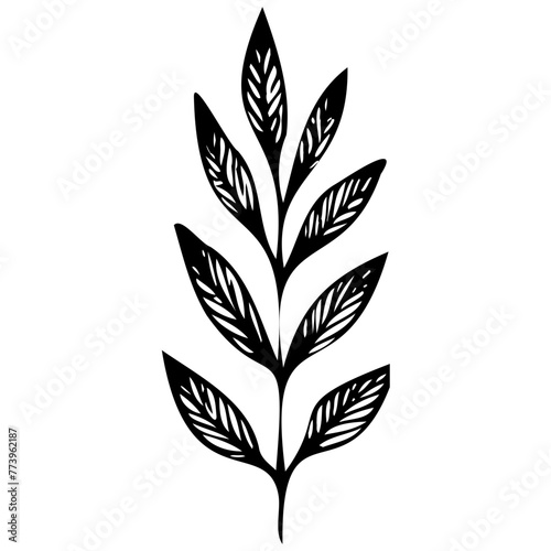 Hand drawn leaves line linear Symbol visual illustration Tropical Leaves in doodle style. Vector hand drawn black line design elements. Exotic summer botanical illustrations. Monstera leaves, palm,  © Microstocke