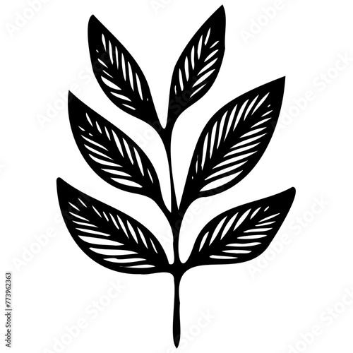 Hand drawn leaves line linear Symbol visual illustration Tropical Leaves in doodle style. Vector hand drawn black line design elements. Exotic summer botanical illustrations. Monstera leaves, palm,  © Microstocke