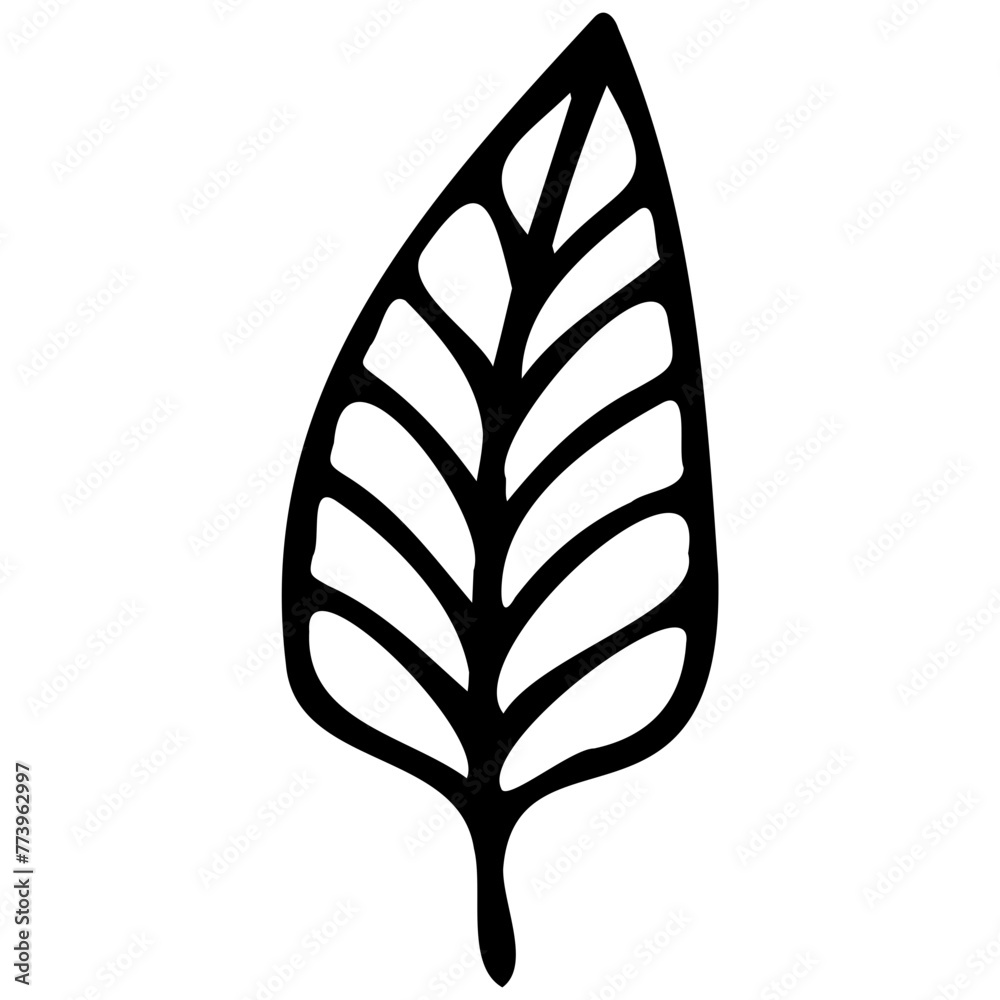 Hand drawn leaves line linear Symbol visual illustration Tropical Leaves in doodle style. Vector hand drawn black line design elements. Exotic summer botanical illustrations. Monstera leaves, palm, Hand drawn leaves line linear Symbol visual illustration Tropical Leaves in doodle style. Vector hand drawn black line design elements. Exotic summer botanical illustrations. Monstera leaves, palm,