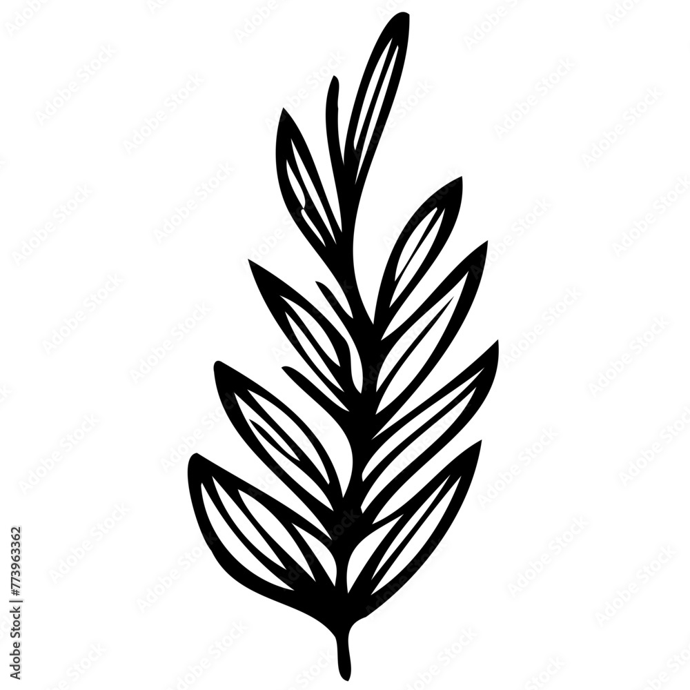 Hand drawn leaves line linear black strock Symbol visual illustration Hand drawn leaves line linear black Strock Symbol visual illustration hand drawn curly grass and on white background Hand drawn leaves line linear black strock Symbol visual illustration Hand drawn leaves line linear black Strock Symbol visual illustration hand drawn curly grass and on white background