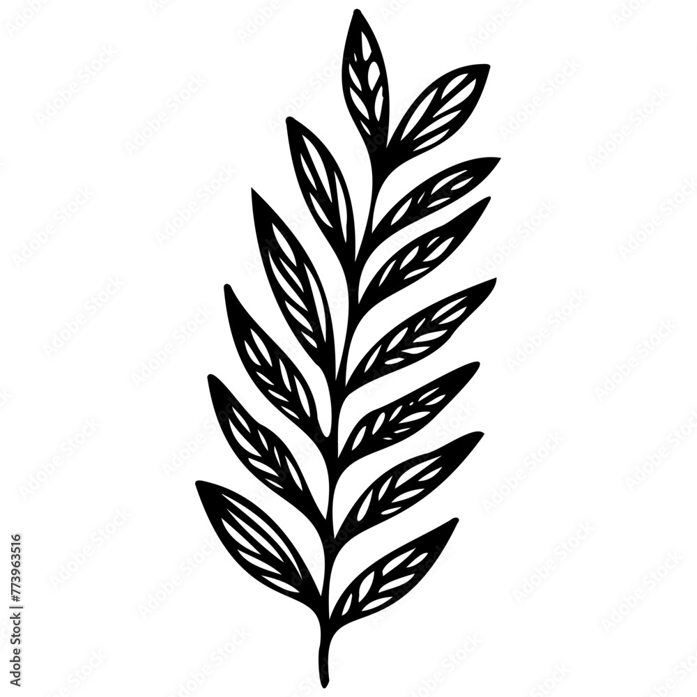 Hand drawn leaves line linear black strock Symbol visual illustration Hand drawn leaves line linear black Strock Symbol visual illustration hand drawn curly grass and on white background